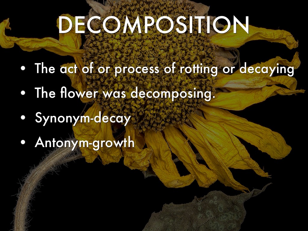 vocab lesson 8 by Olivia Husom