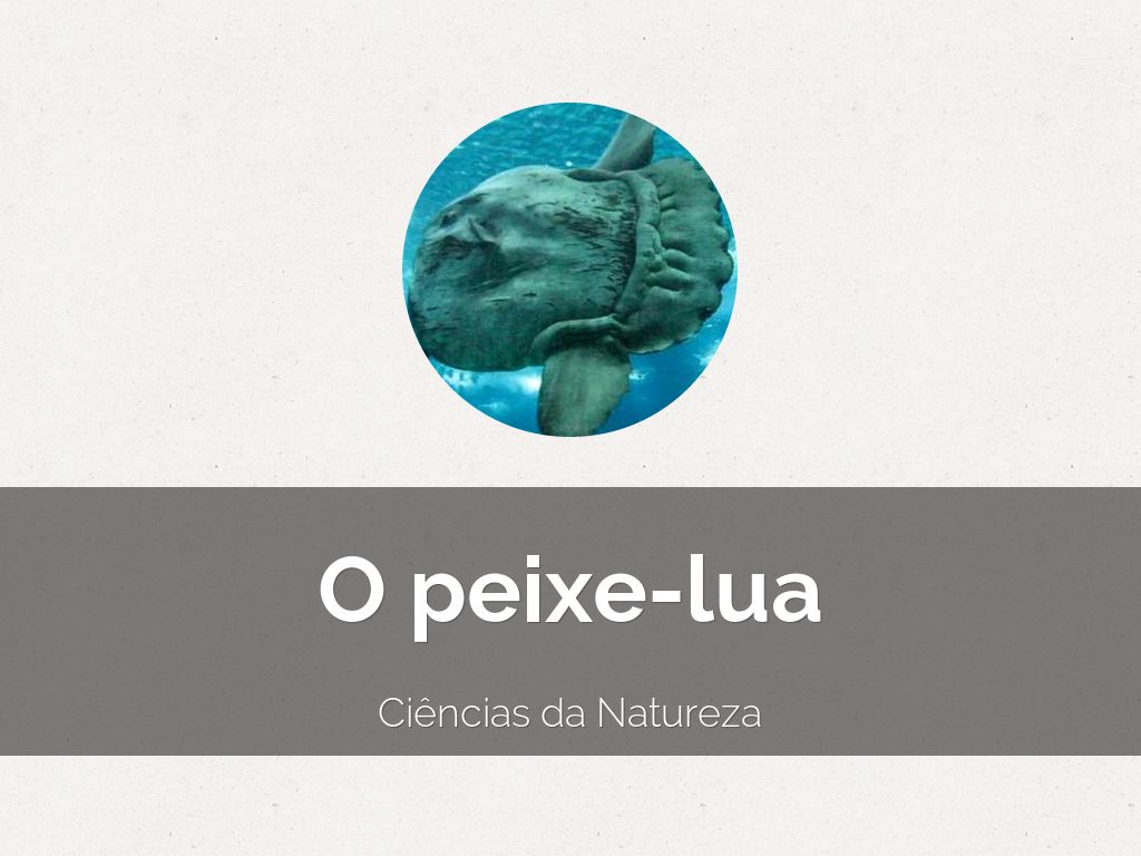 O peixe-lua