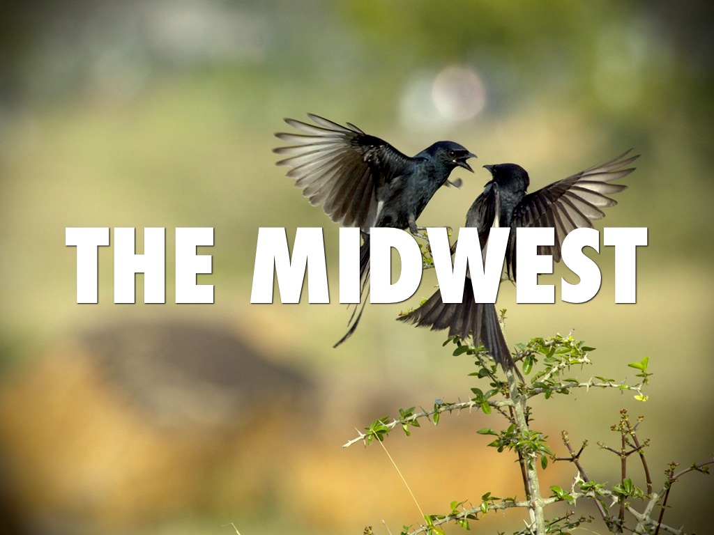 By Jaiden, Mahogany, Corian