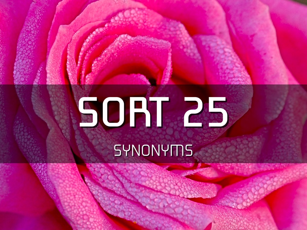 Sort 24