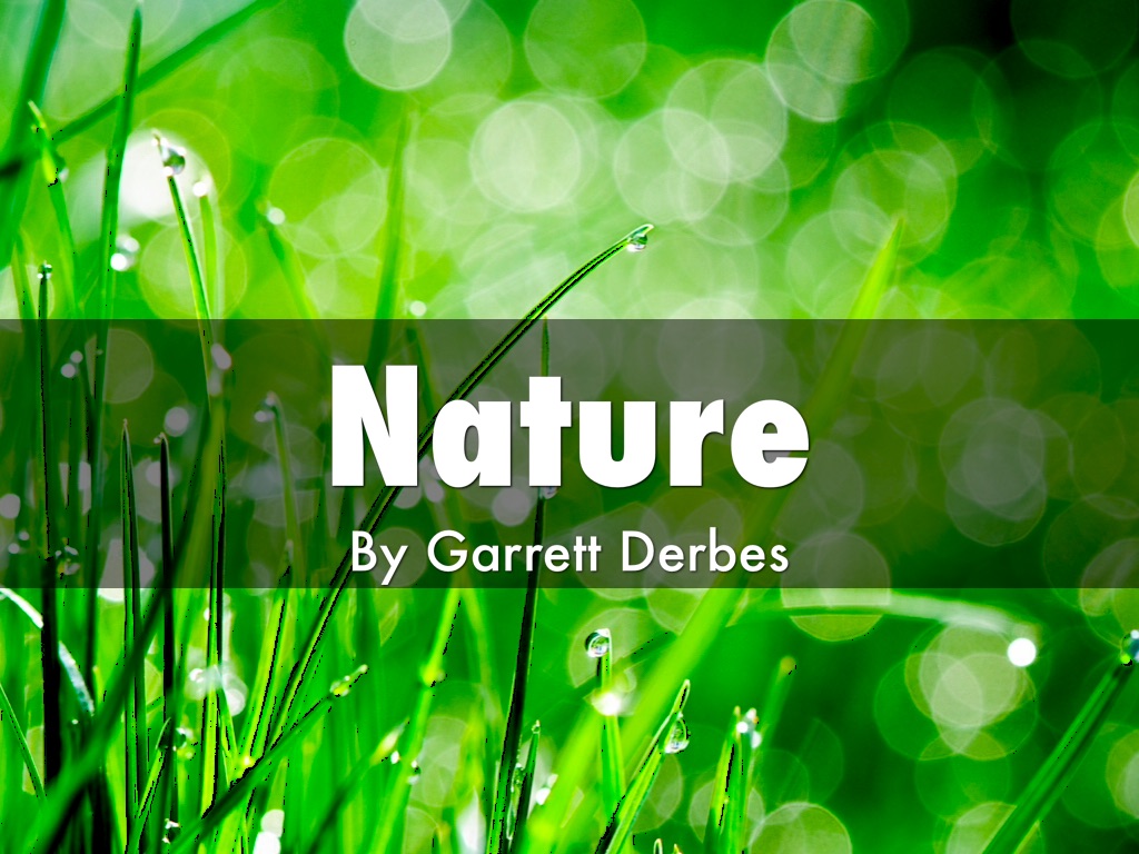 Pleasant Nature