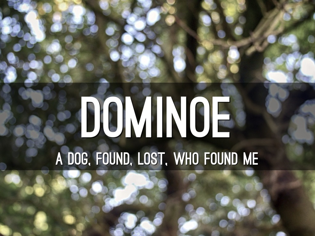 Dominoe