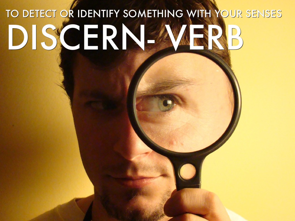 Q4 Vocab by Katie Terrance