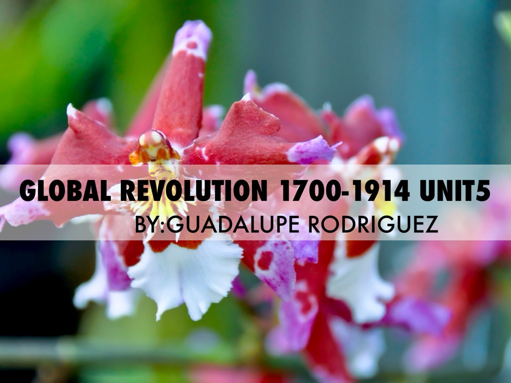 Global Revolution 1700-1914