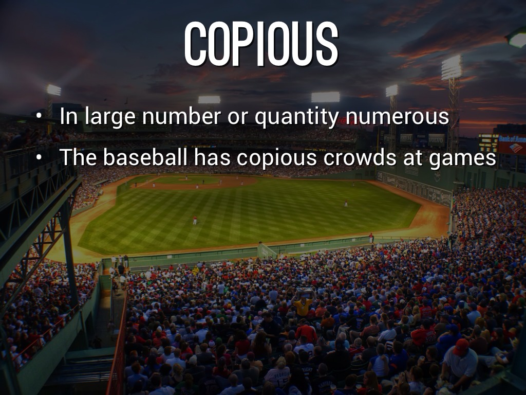 Copious Image Example Vocab Quarter 3 by 90299268
