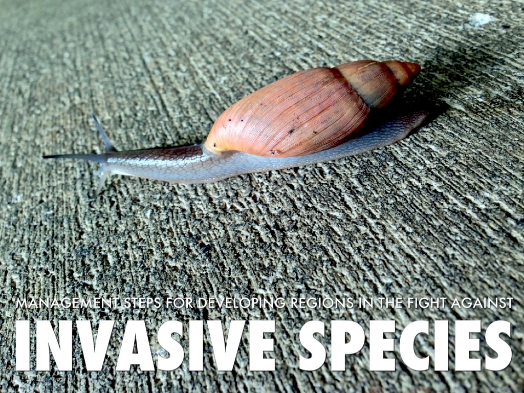 Invasive Species