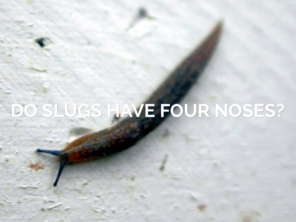 Copy of True Or False