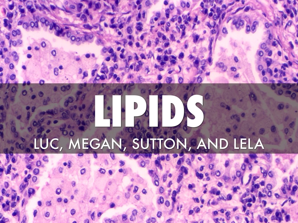 Lipids 