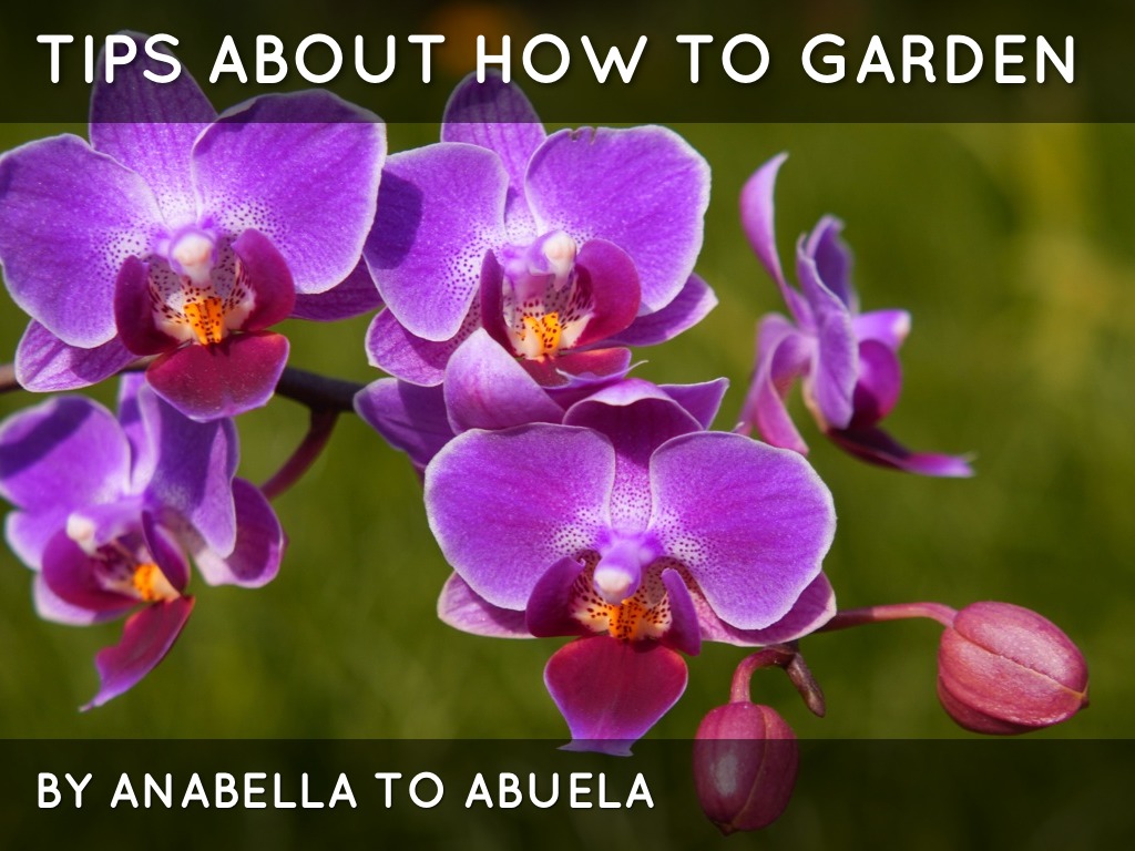 Tips About How To Garden