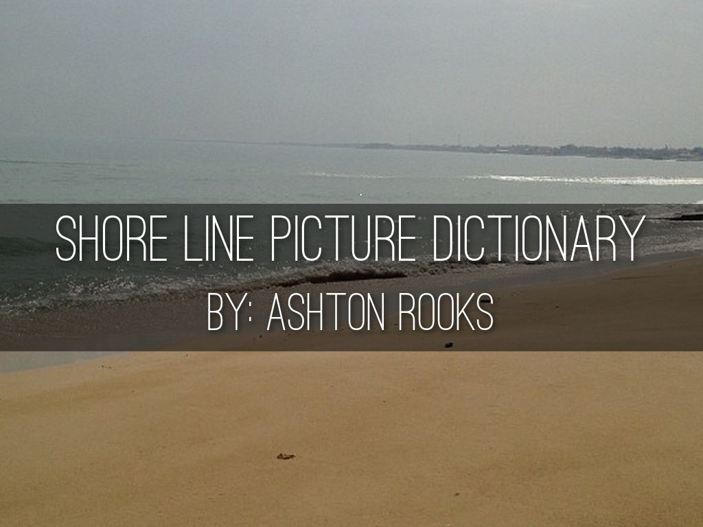 Shore Line Picture Dictionary by ashroo5666