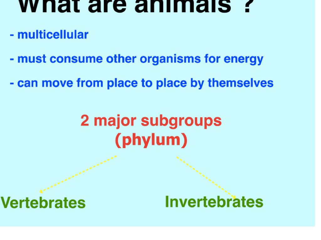1.2 Classifying Living Things by jackie_mulkey