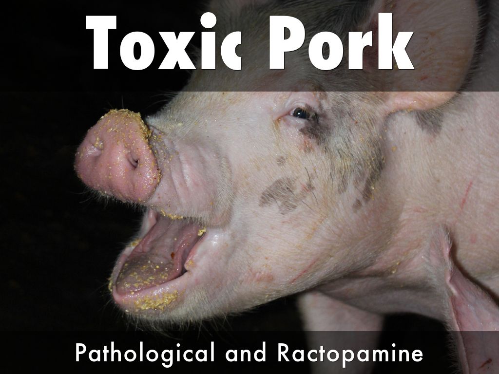 Pigs are swine not food by jonathonnovander