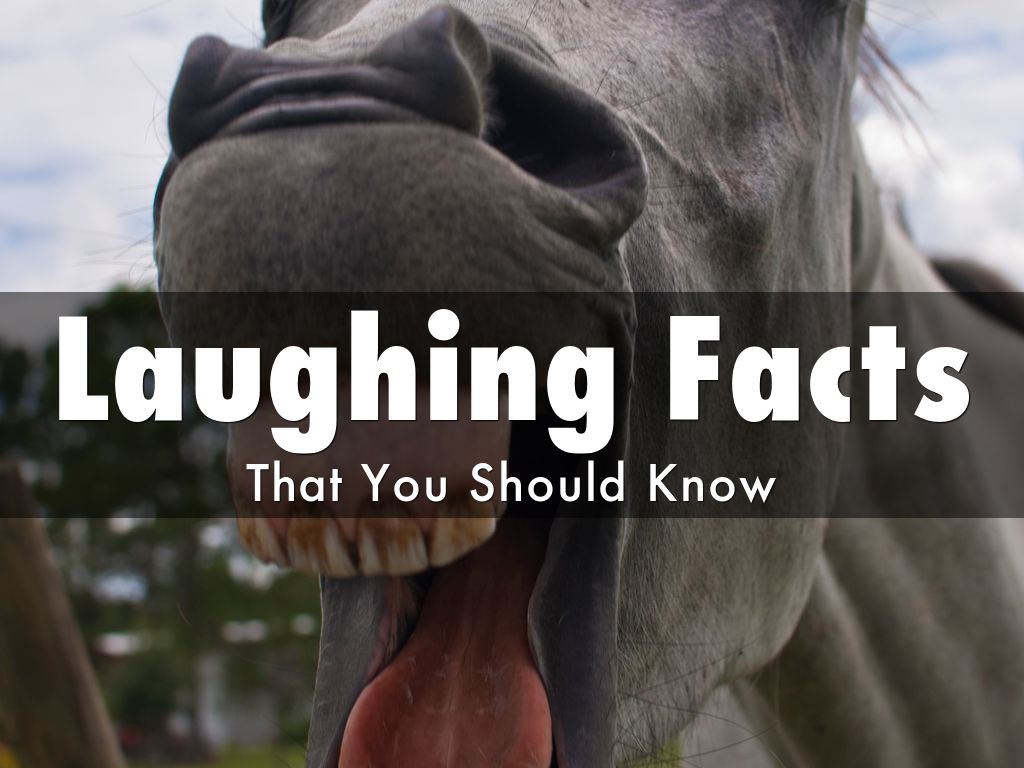 Laughing Facts