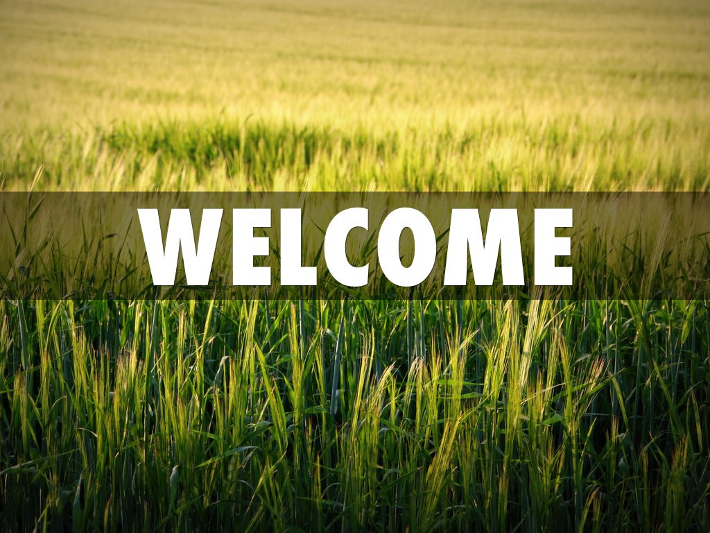 Welcome