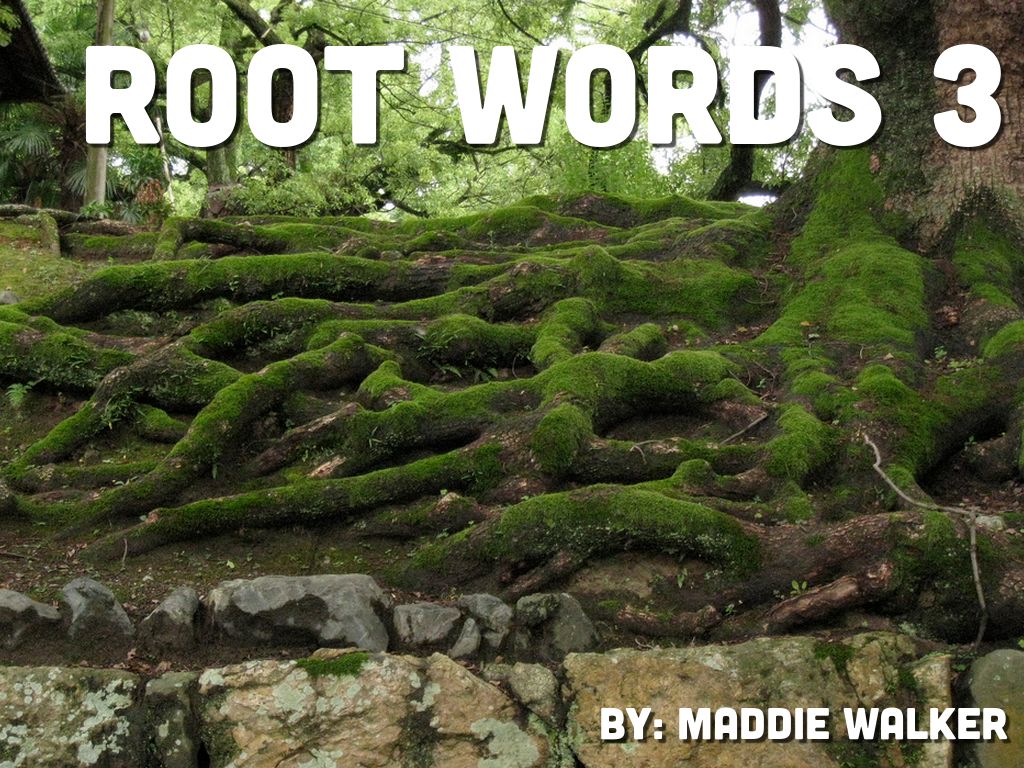 Root Words 3