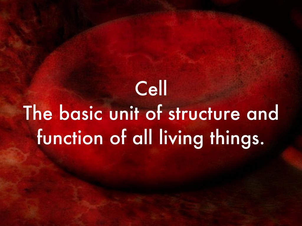 Cell The basic unit of structure and function of all living things.