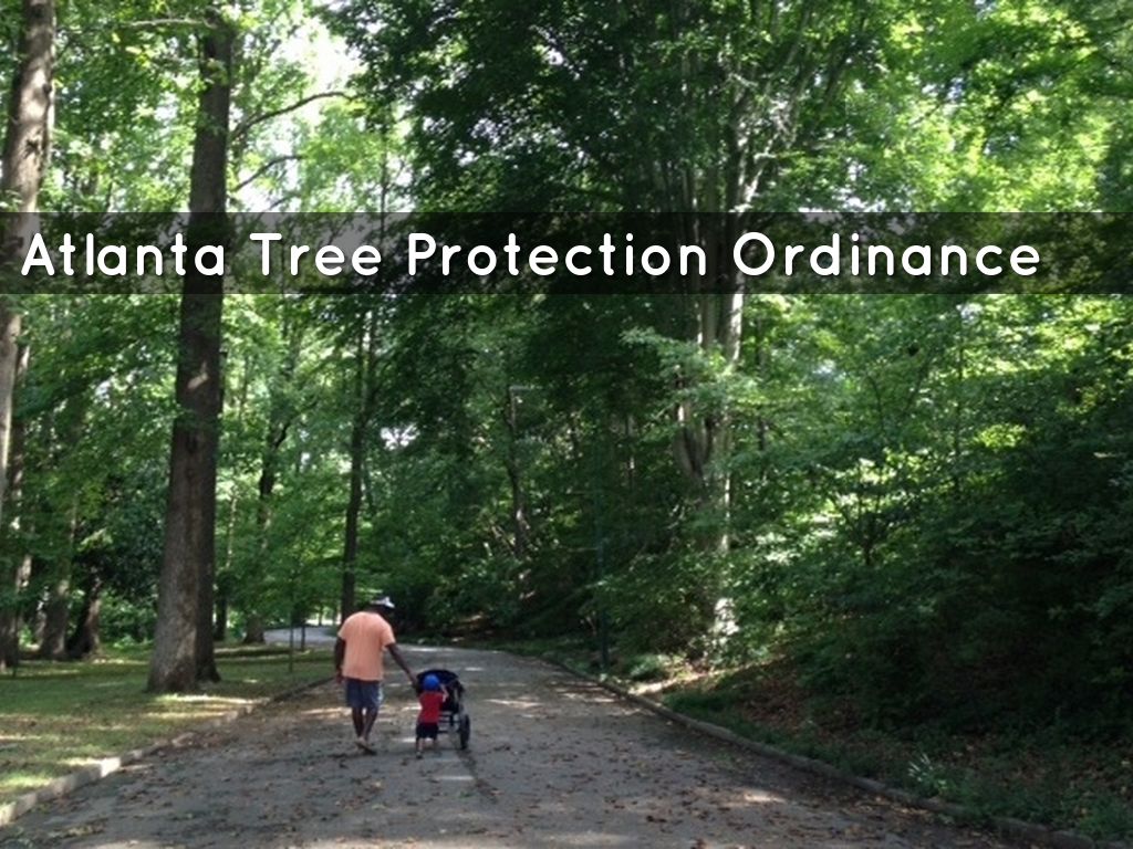 Atlanta's Tree Protection Ordinance by Logan Casey