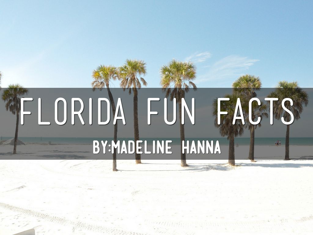 Florida Fun facts by Madeline Hanna