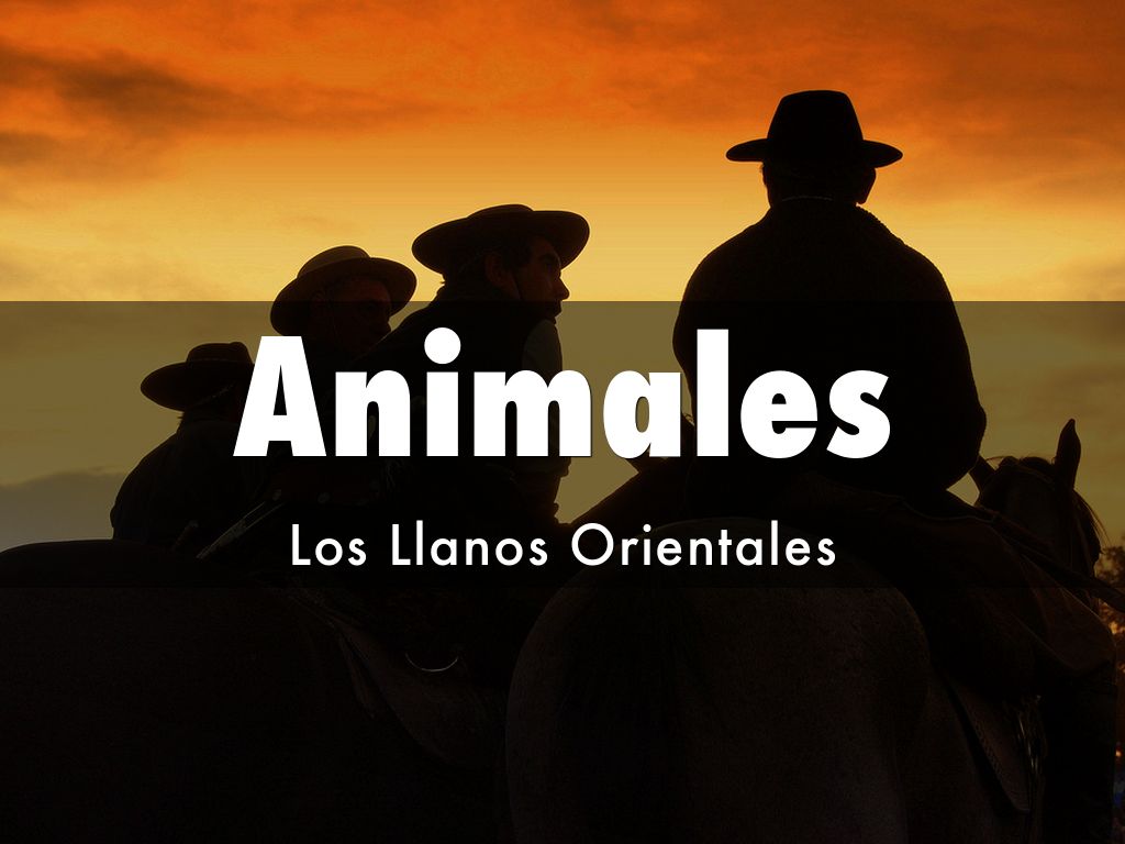 Animales
