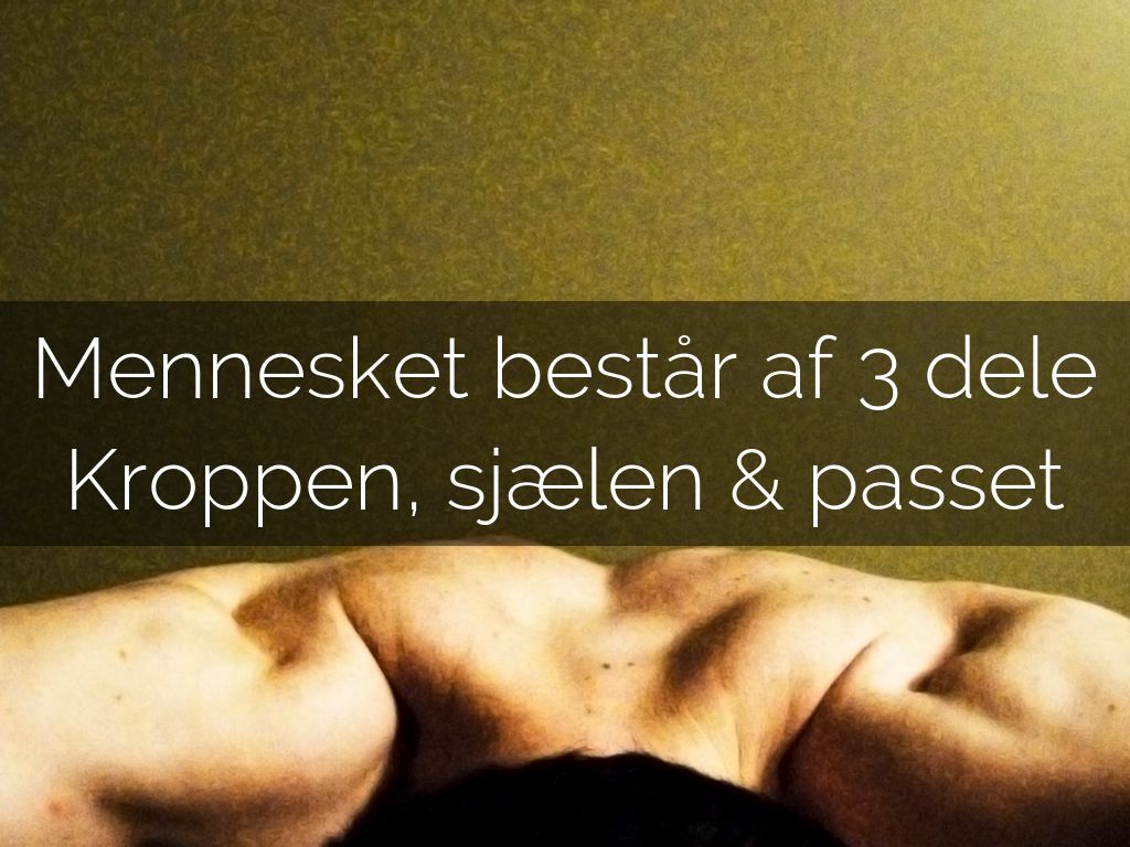 Mennesket består af 3 dele - kroppen, sjælen og passet. Indvandrermedicinsk kliniks julecitatshow 2015