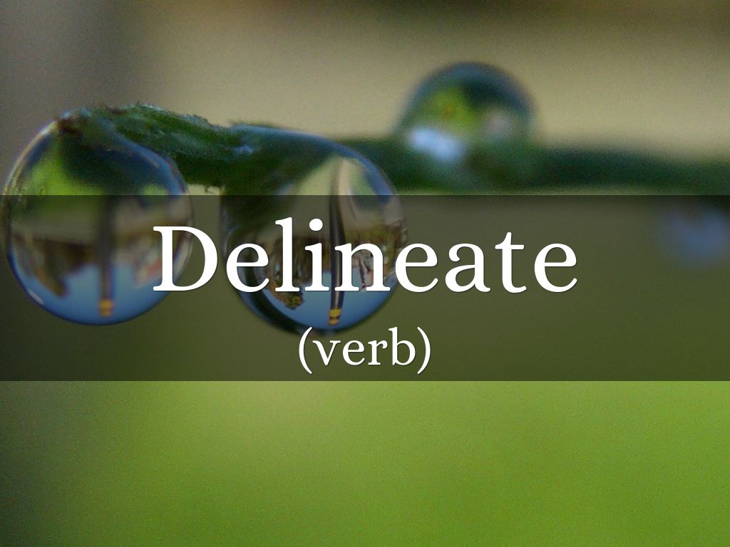 Delineate by Erica Hall