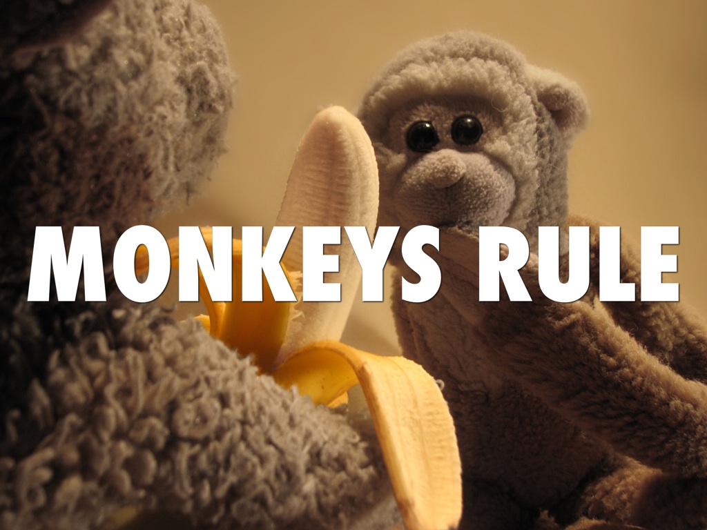 monkeys by mpesmrbsclasst+11