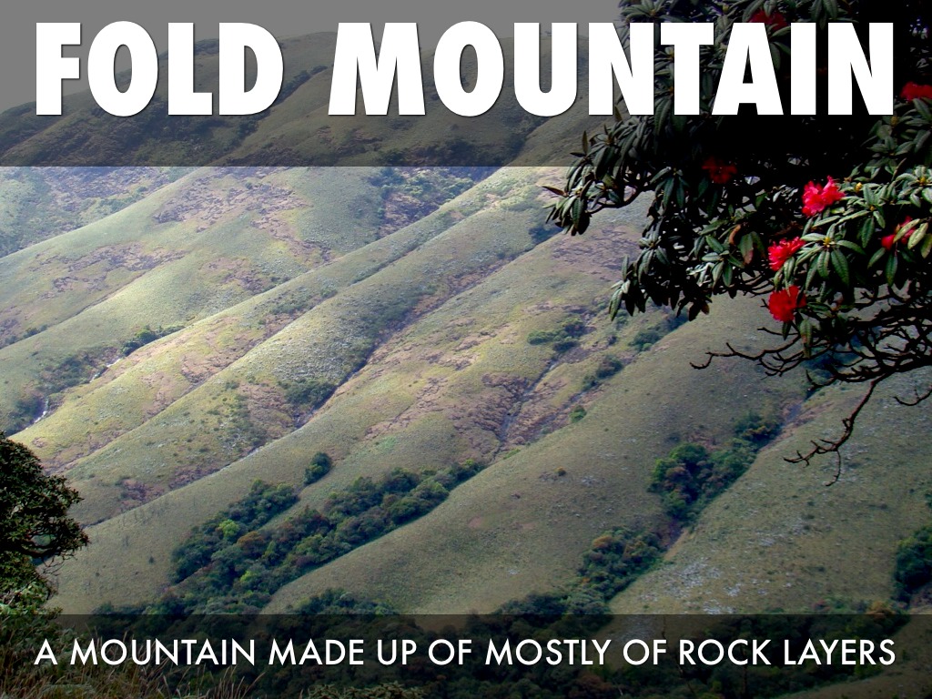 Chapter 8 Science Rhet