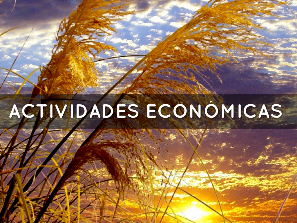 Actividades Económicas