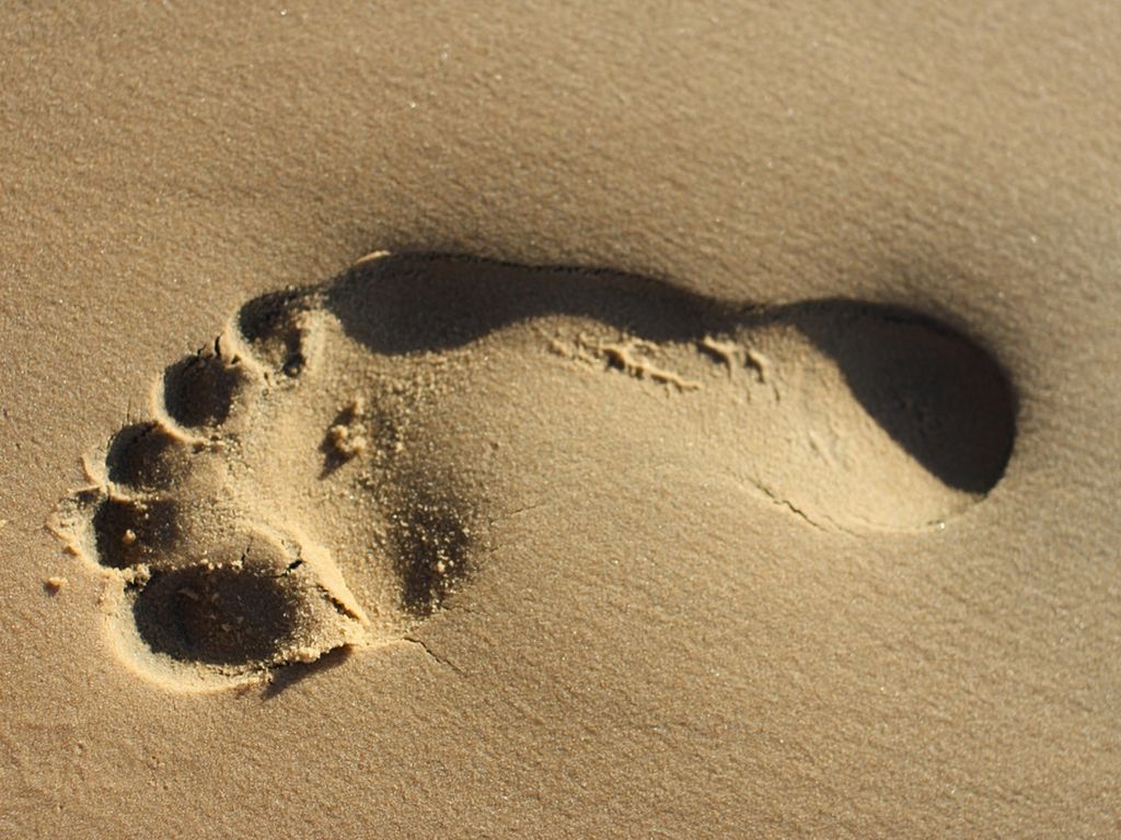 Copy of Untitled Haiku Deck