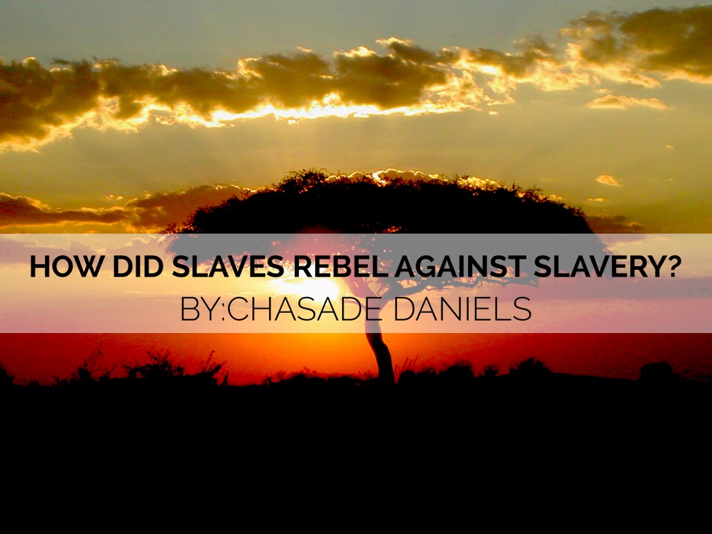 How Did Slaves Rebel Against The System ?