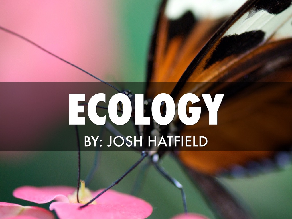 Ecology in Biology