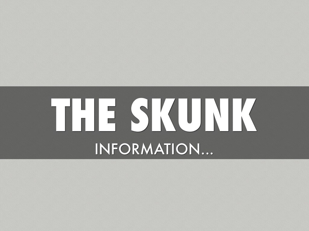 The Skunk