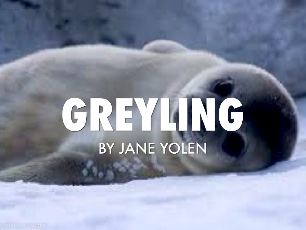 "Greyling"