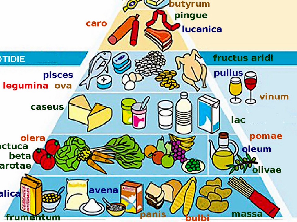 La Piramide Alimenticia