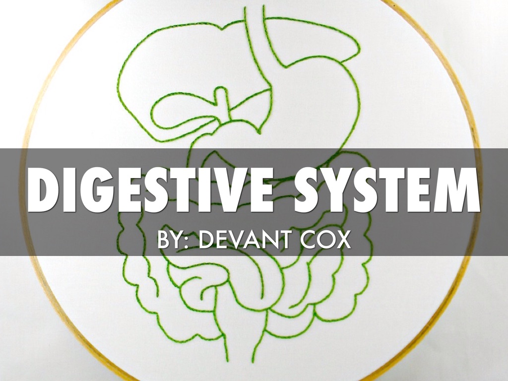 Digestive
