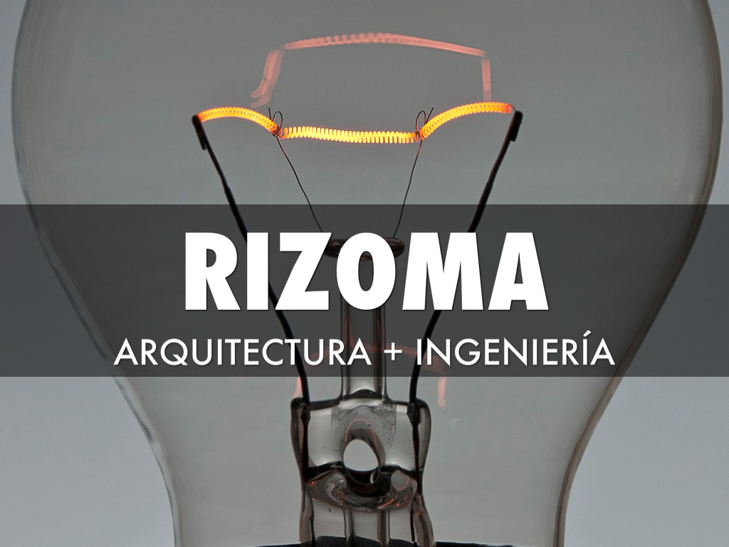 Rizoma