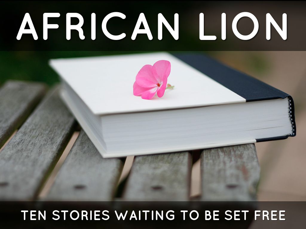 Haiku Deck In Action