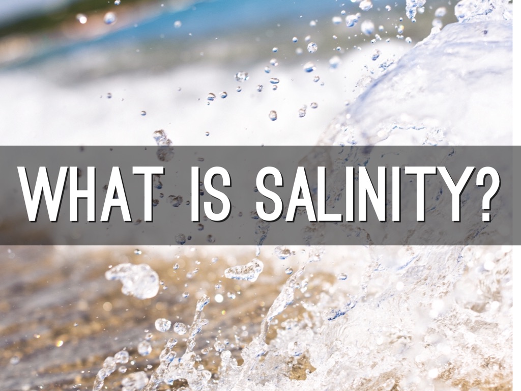 Salinity (Annika, Bella, Charlotte)