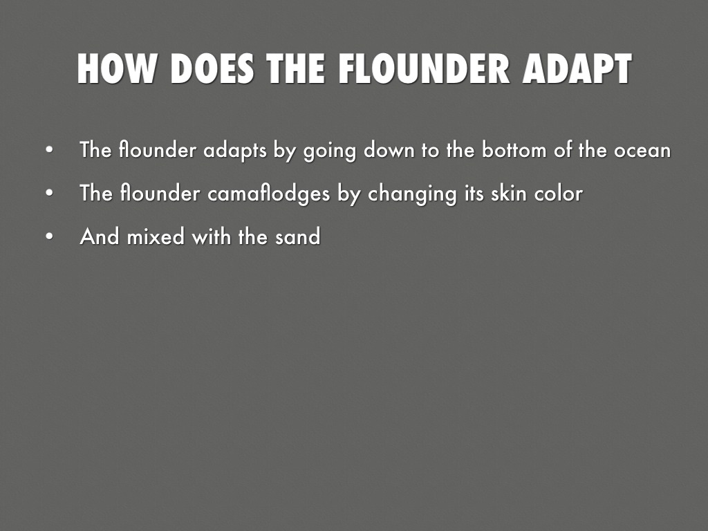 Flounder Adaptation by Cooper Southard