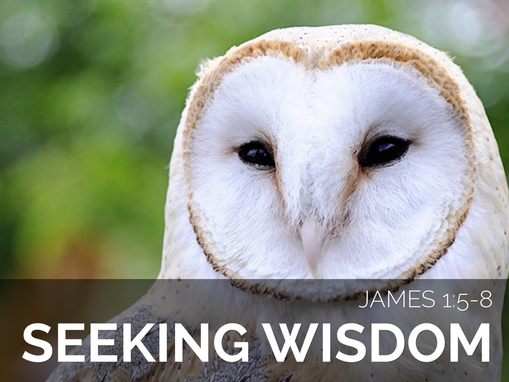 seeking wisdom