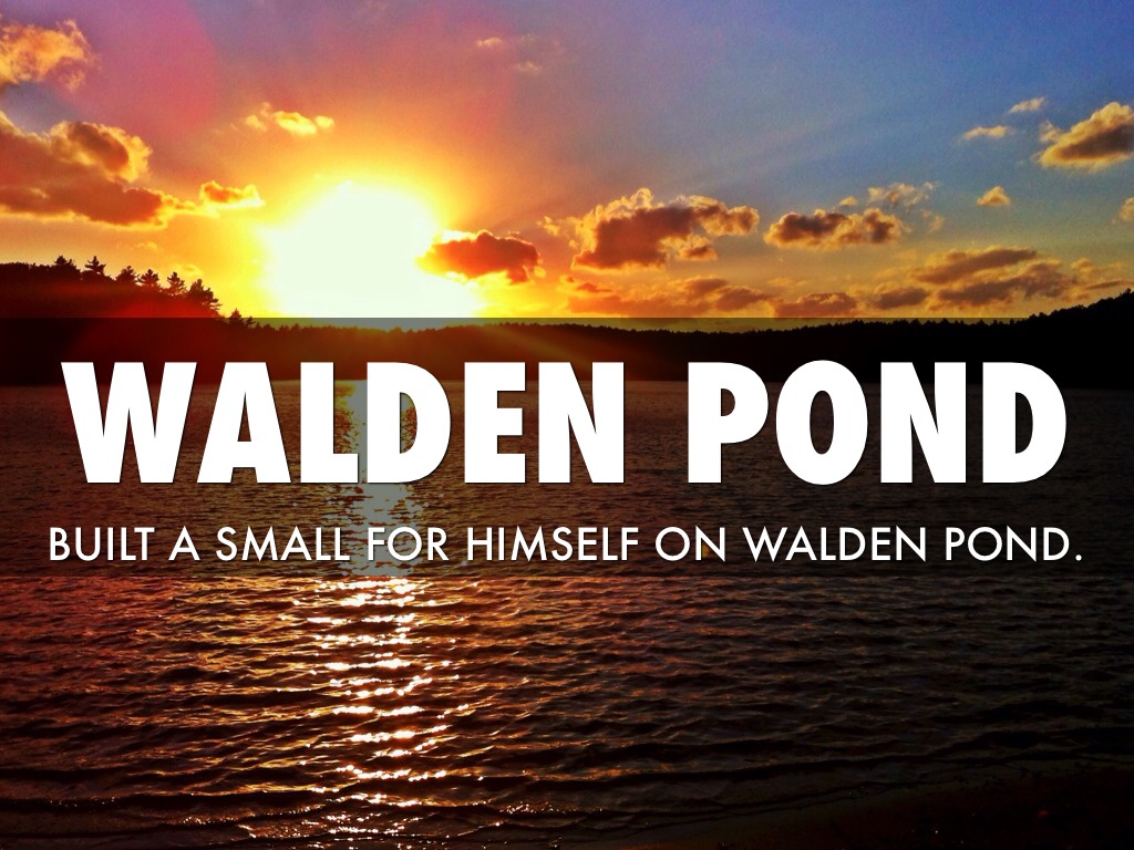 Walden Project 