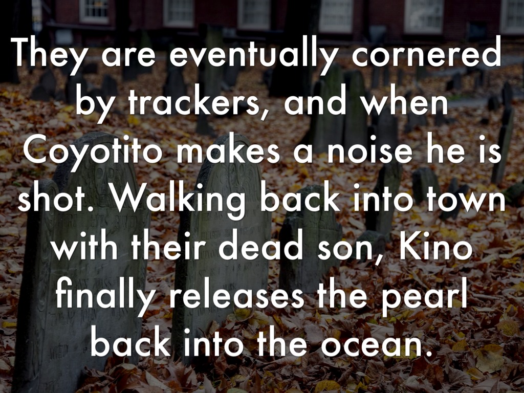 The Pearl by Amelia Steady