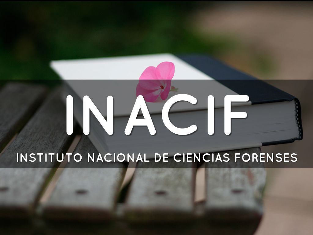 Haiku Deck en acción