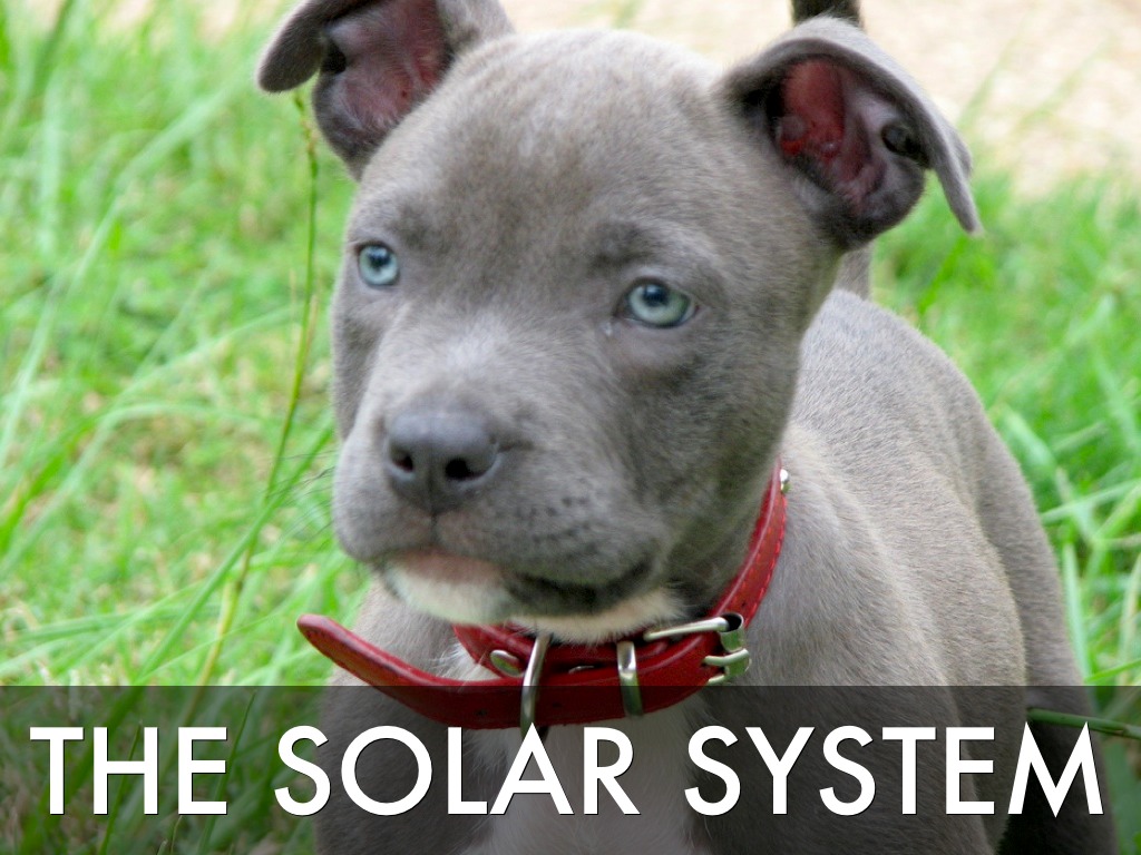  Joshua's Rainbow Slide Show 