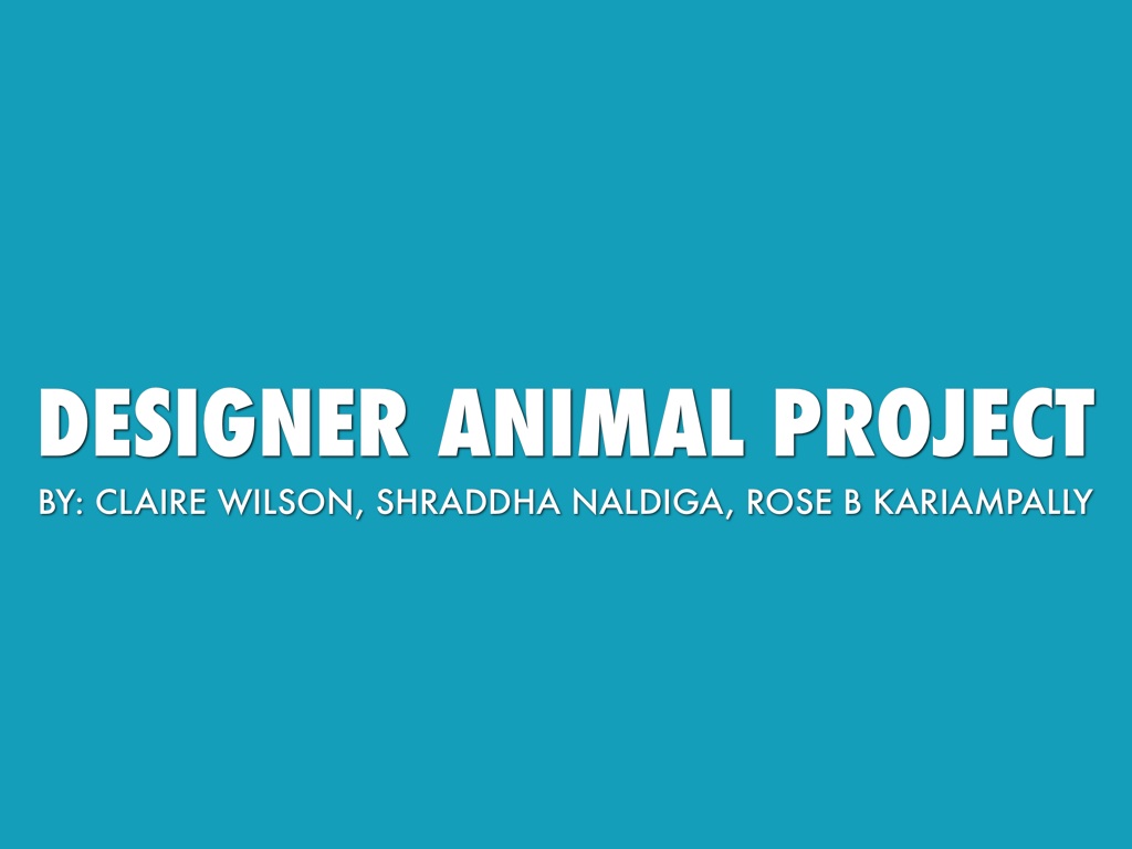 Designer Animal