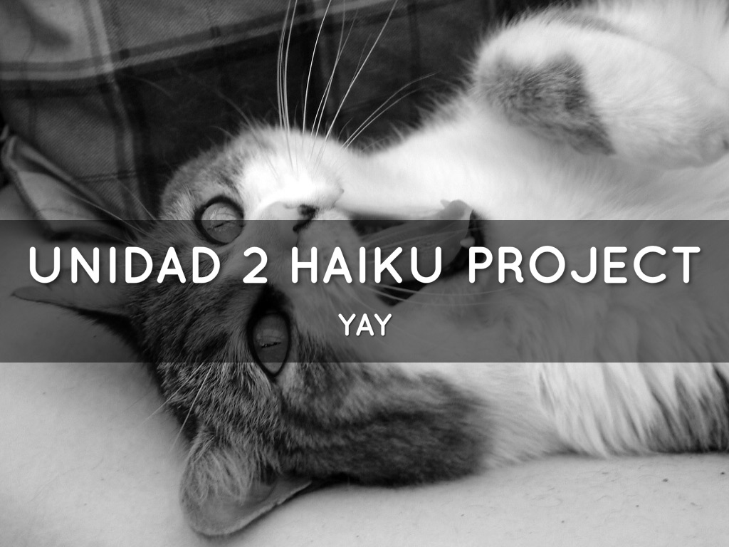 6th Grade Unidad 2 Haiku Deck Project