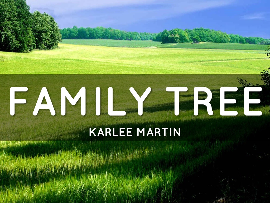 Mon Arbre Généalogique