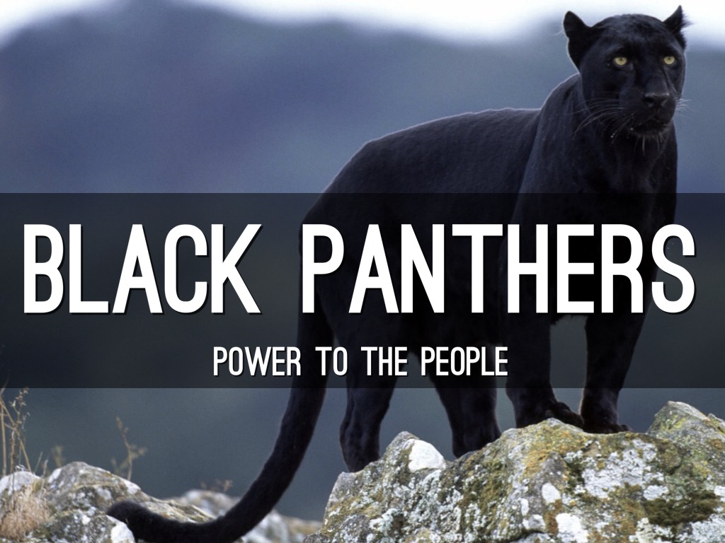 Black Panthers by cvanb17