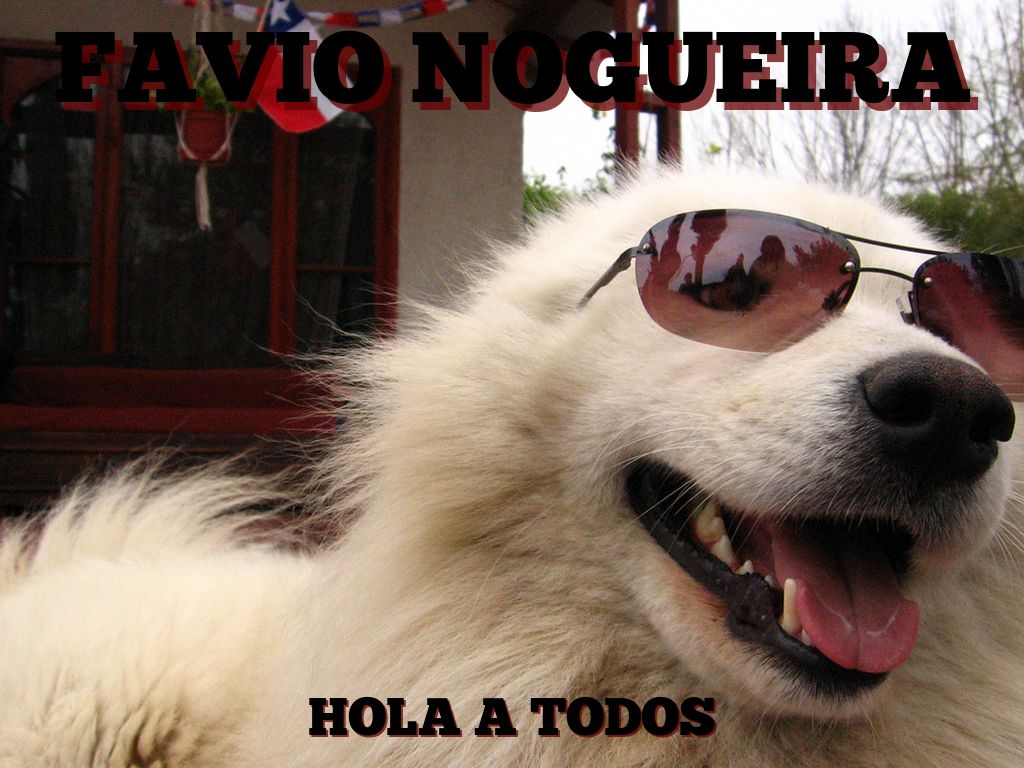 FaVIO NOGUEIRA
