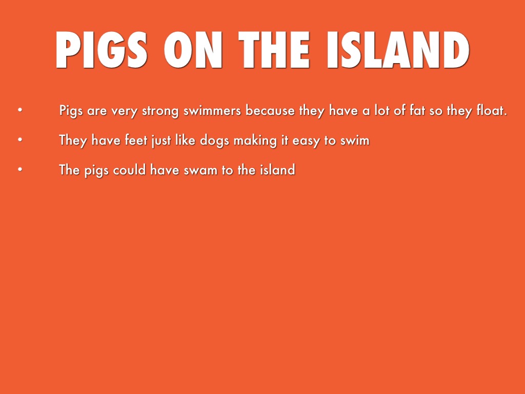 South Pacific Islands